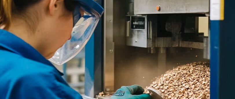 Worker making Walnut Shell